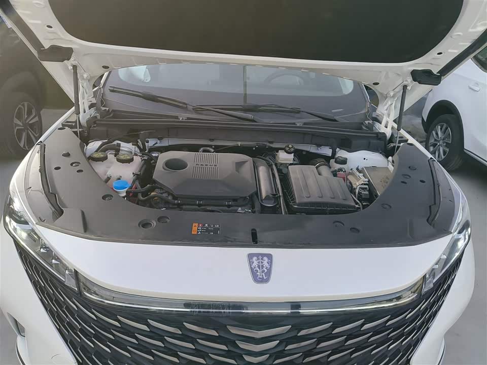 Roewe RX5 New energy