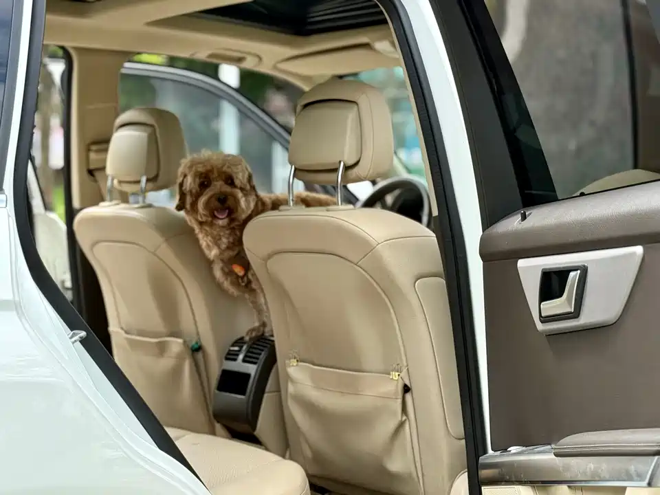 Mercedes-Benz GLK class