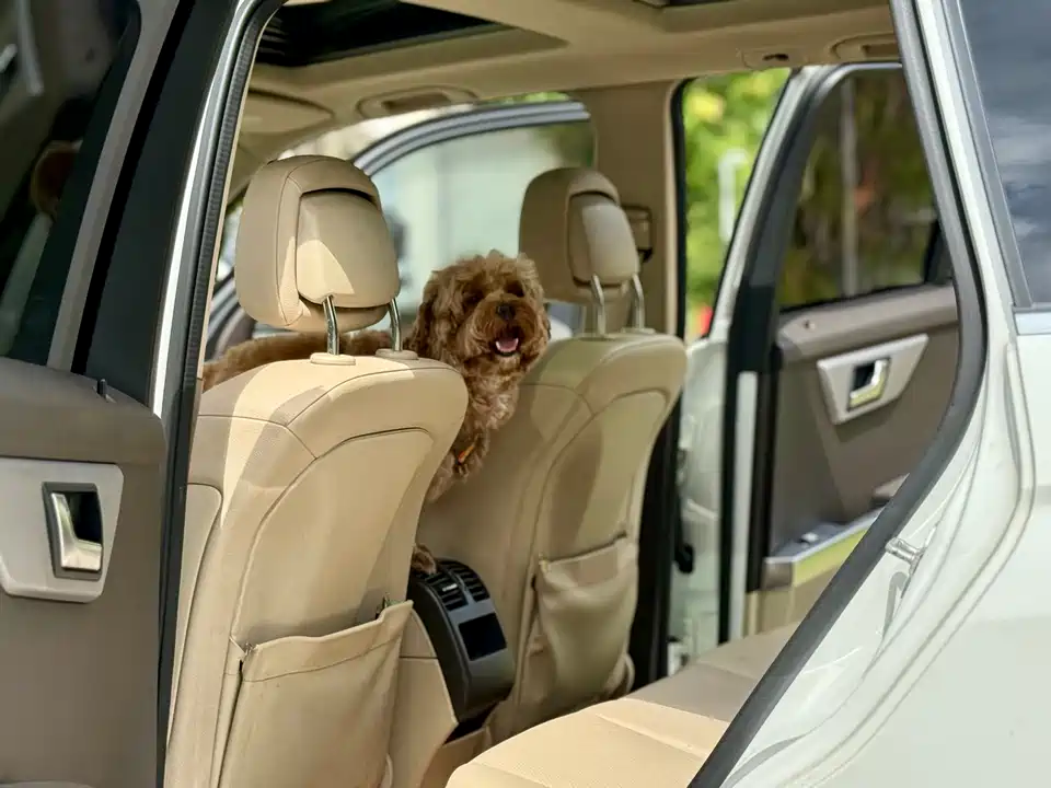 Mercedes-Benz GLK class