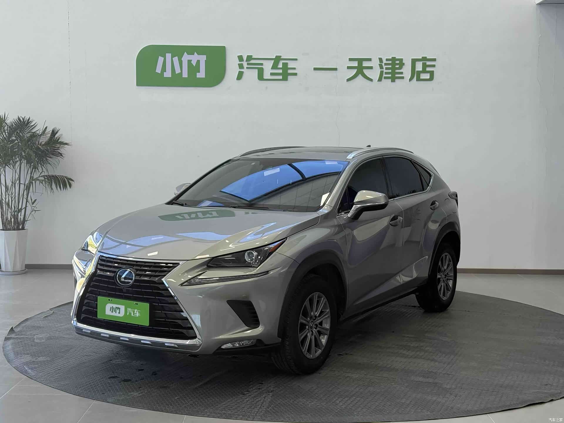 Lexus NX, 2020 1