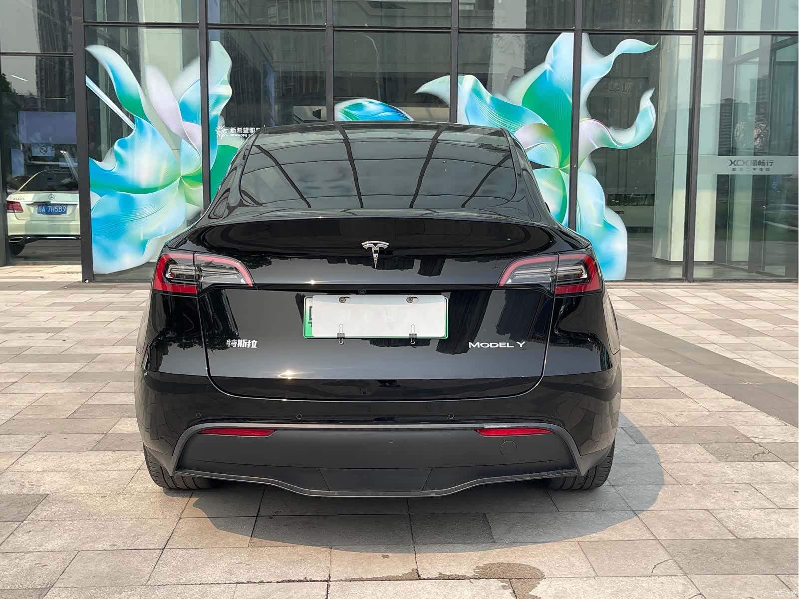 Tesla Model Y, 2022 все фото