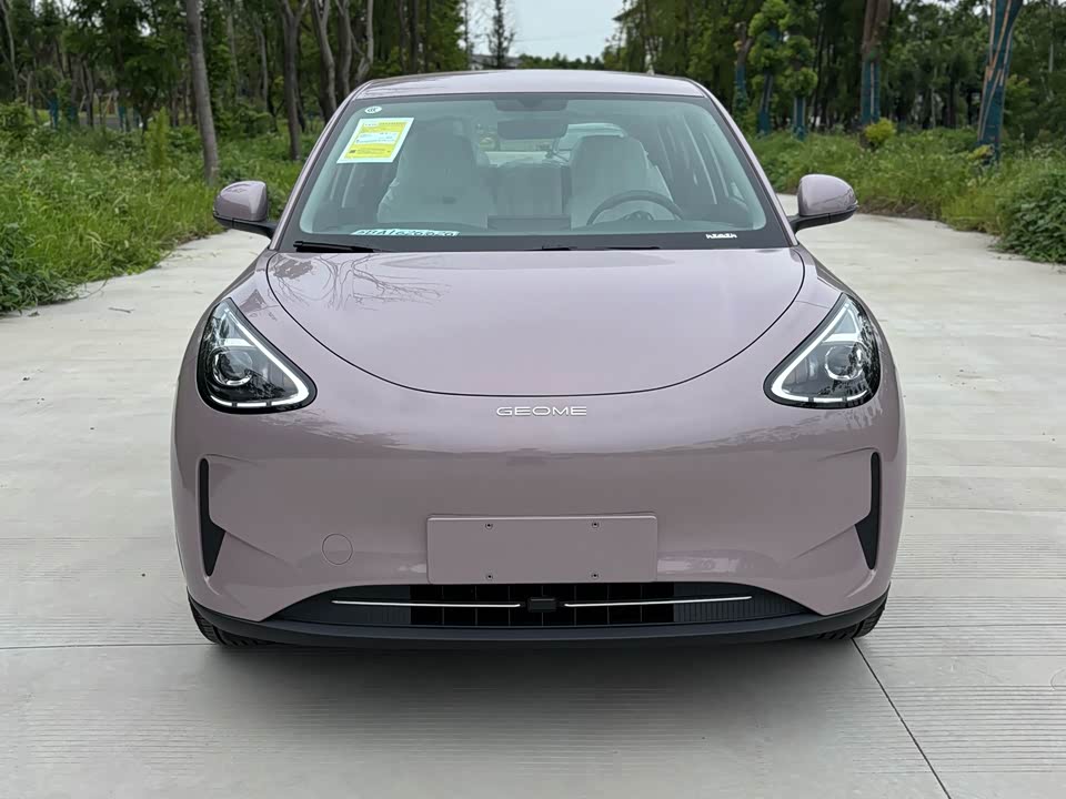 Geely Galaxy Star Wish