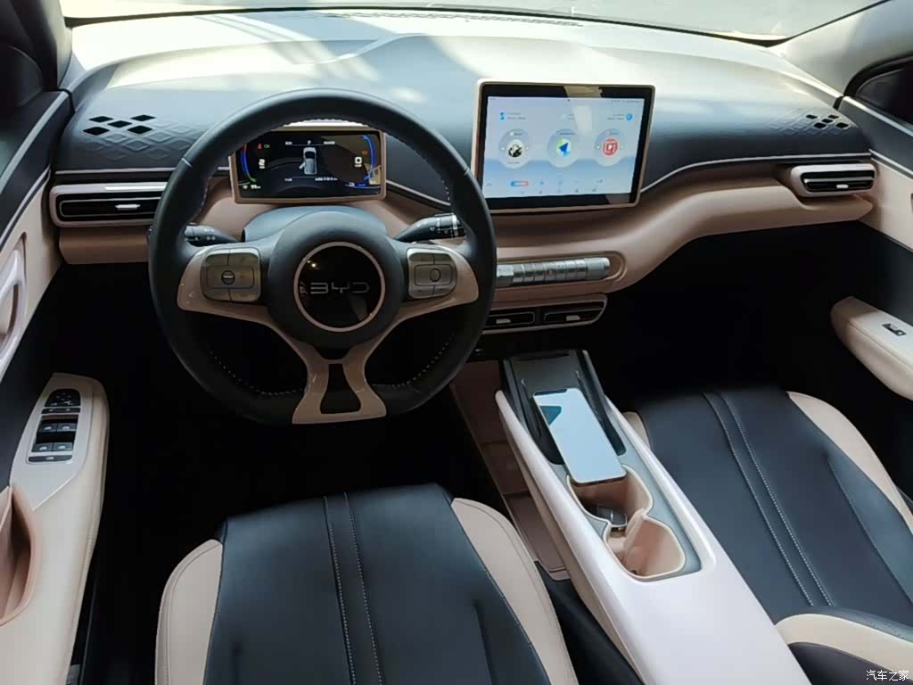 BYD Seagull, 2024 10