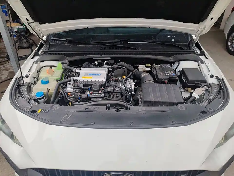 Trumpchi Shadow Leopard