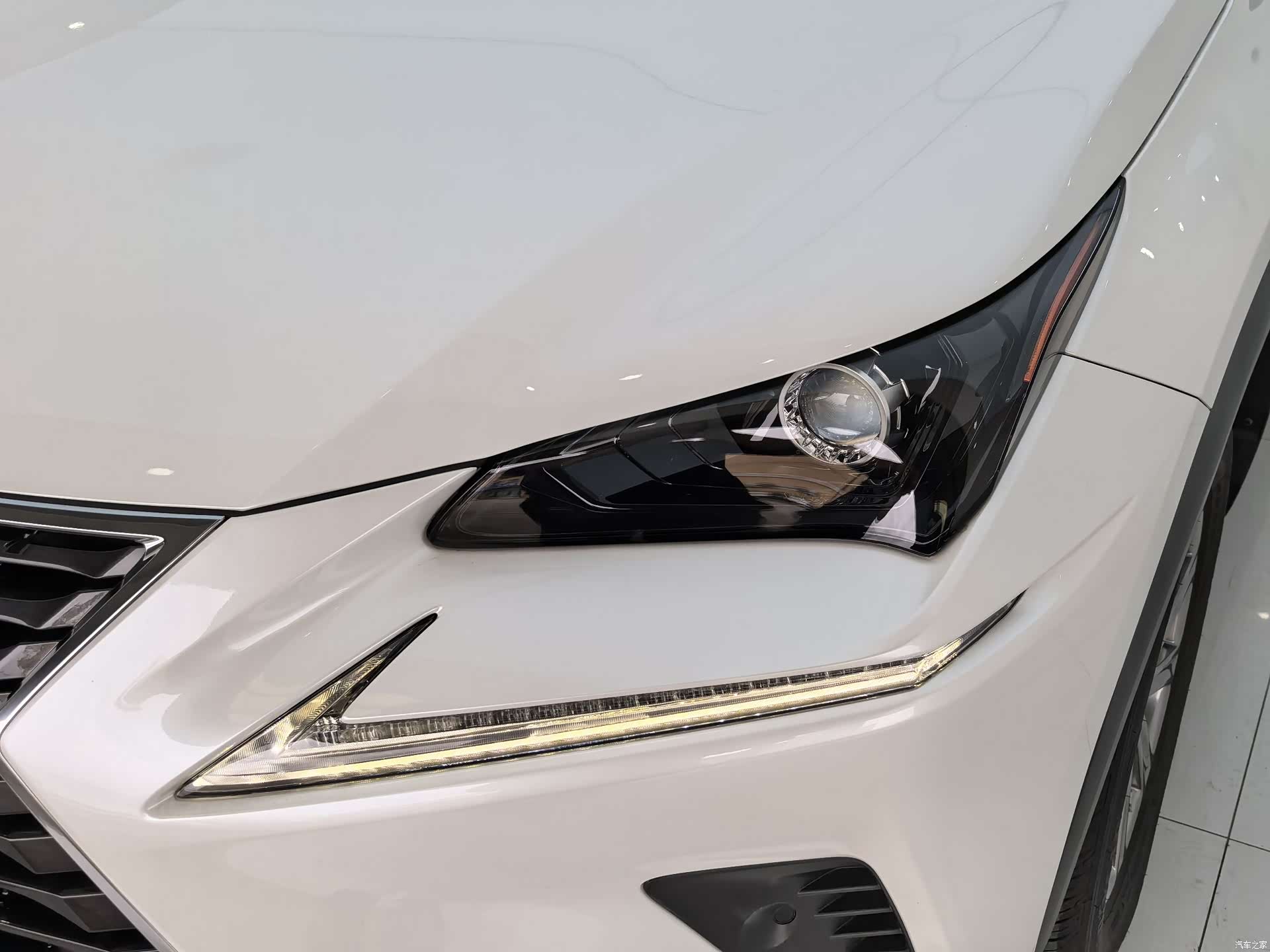 Lexus NX, 2020 4