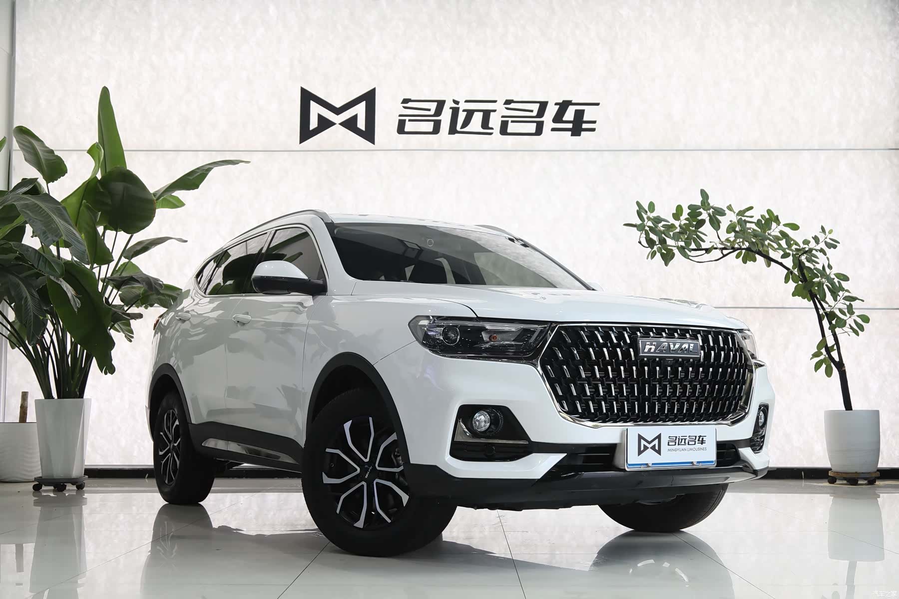 Haval H6, 2023 3