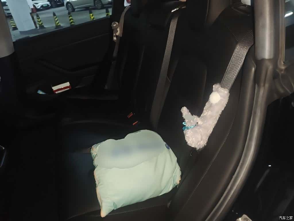 Tesla Model 3, 2020 13