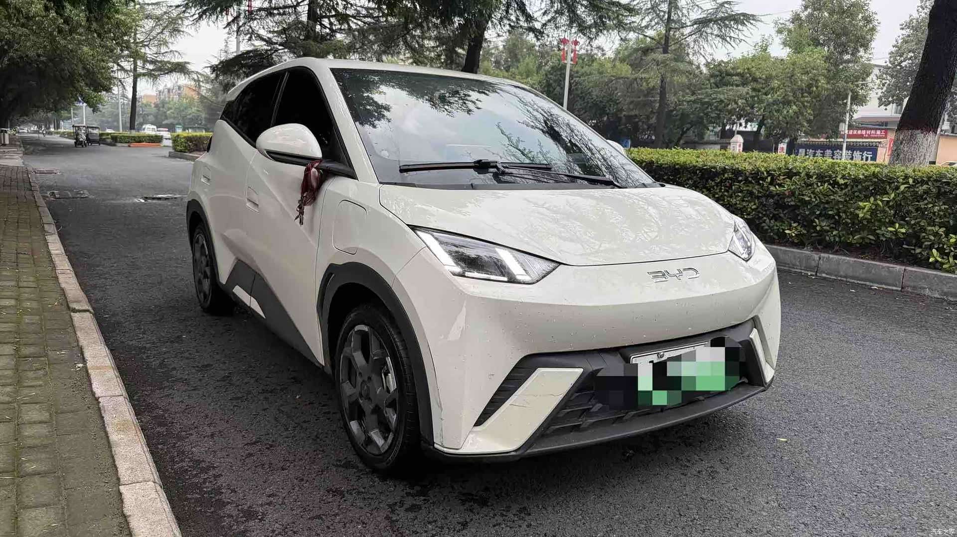 BYD Seagull, 2024 3