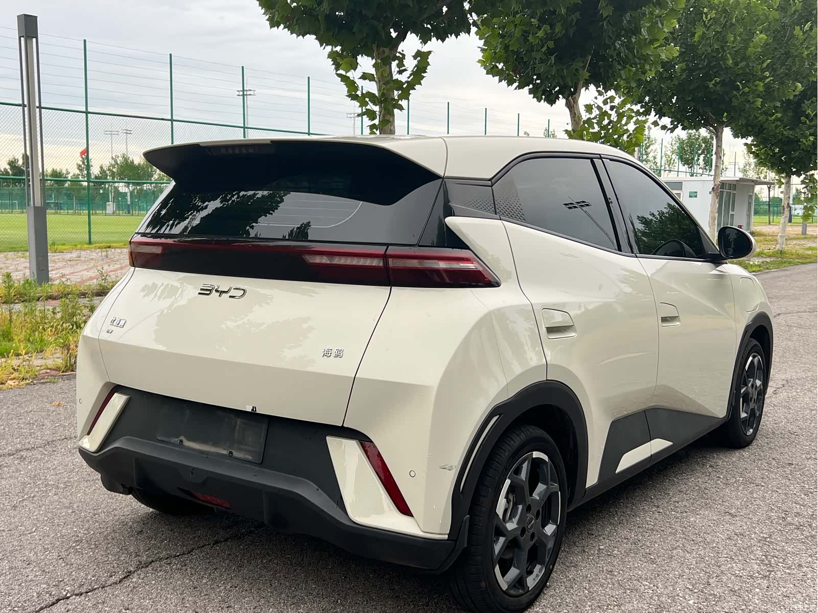 BYD Seagull, 2024 6