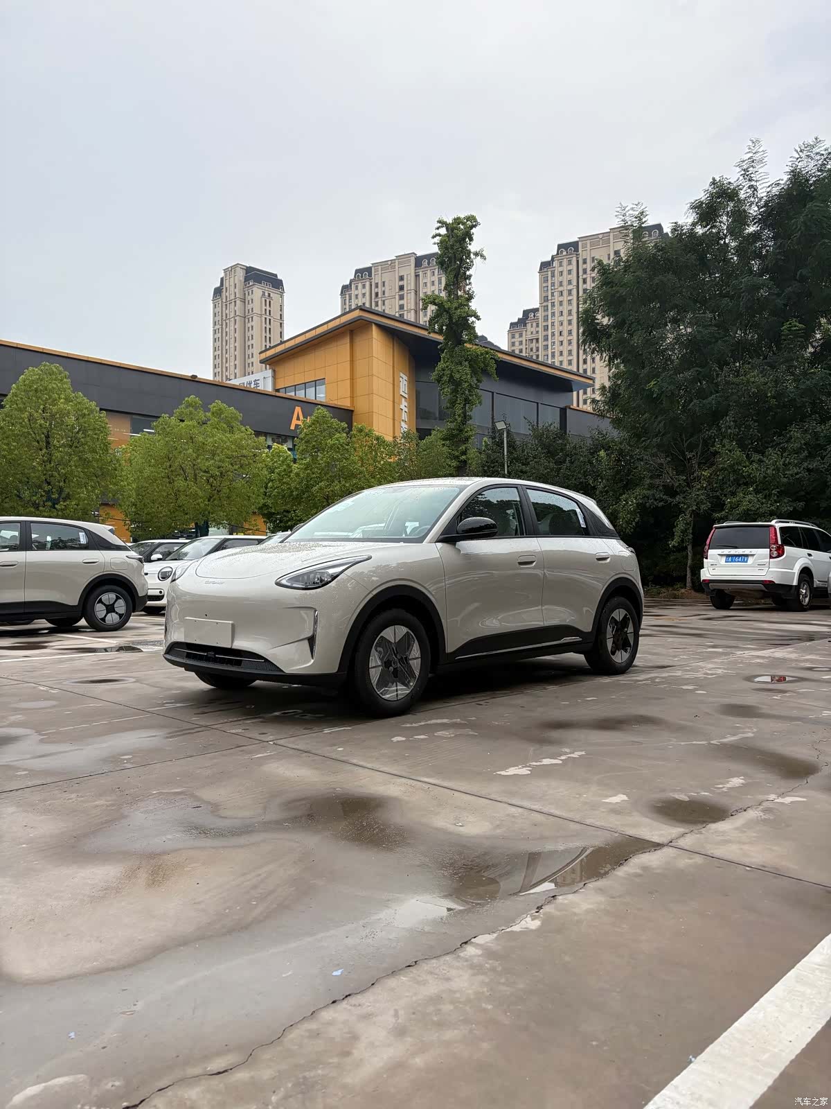 Geely Xingyuan, 2026 1