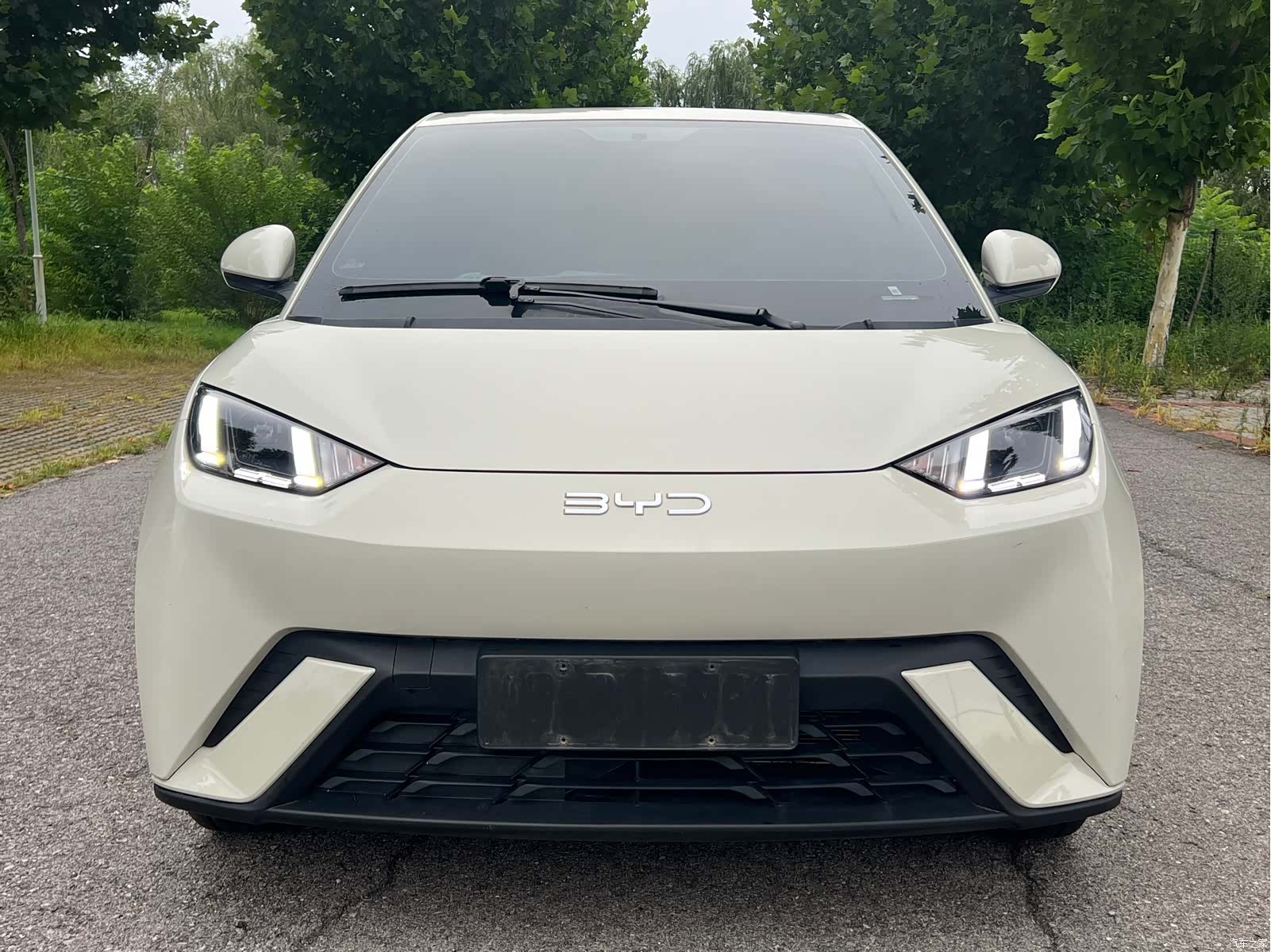 BYD Seagull, 2024 2