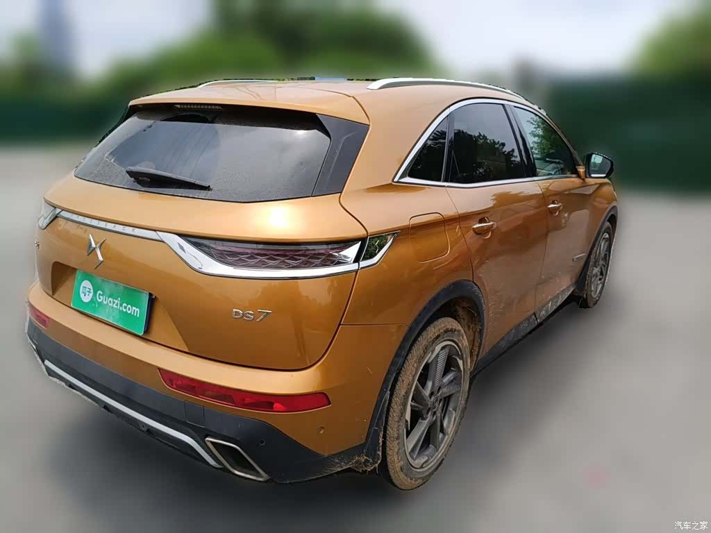 DS 7, 2019 все фото