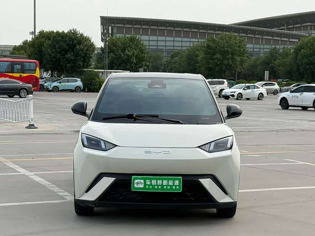 BYD Seagull