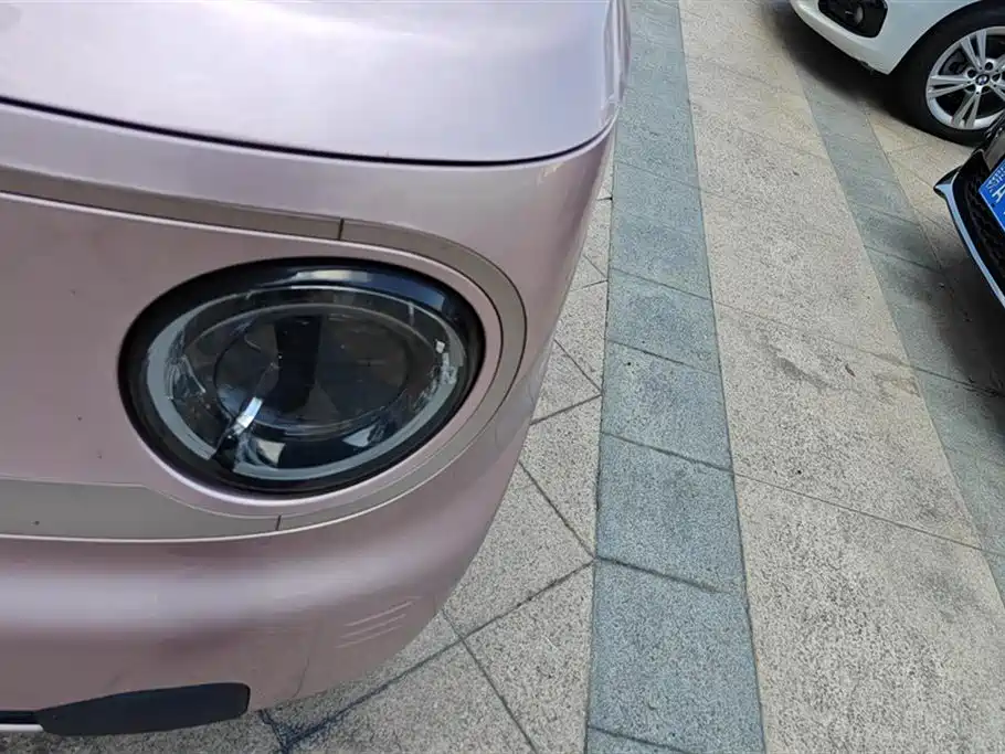 Geely Galaxy panda