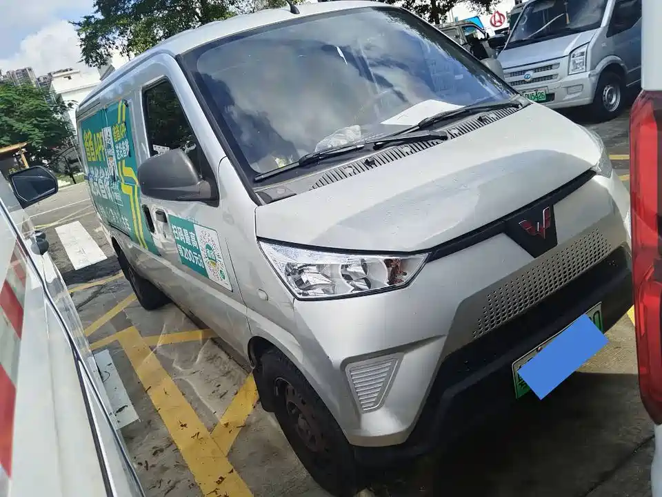 Wuling Wuling EV50