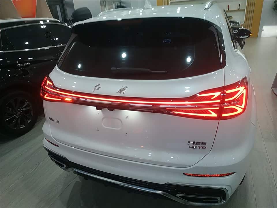 Hongqi HS5