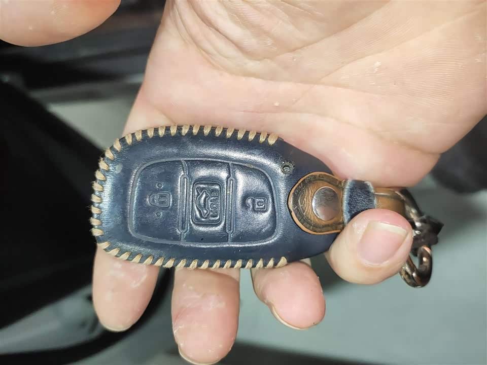 Hyundai Name picture