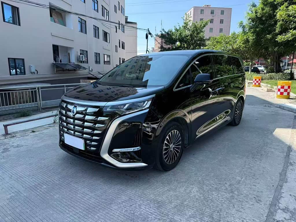 Denza D9