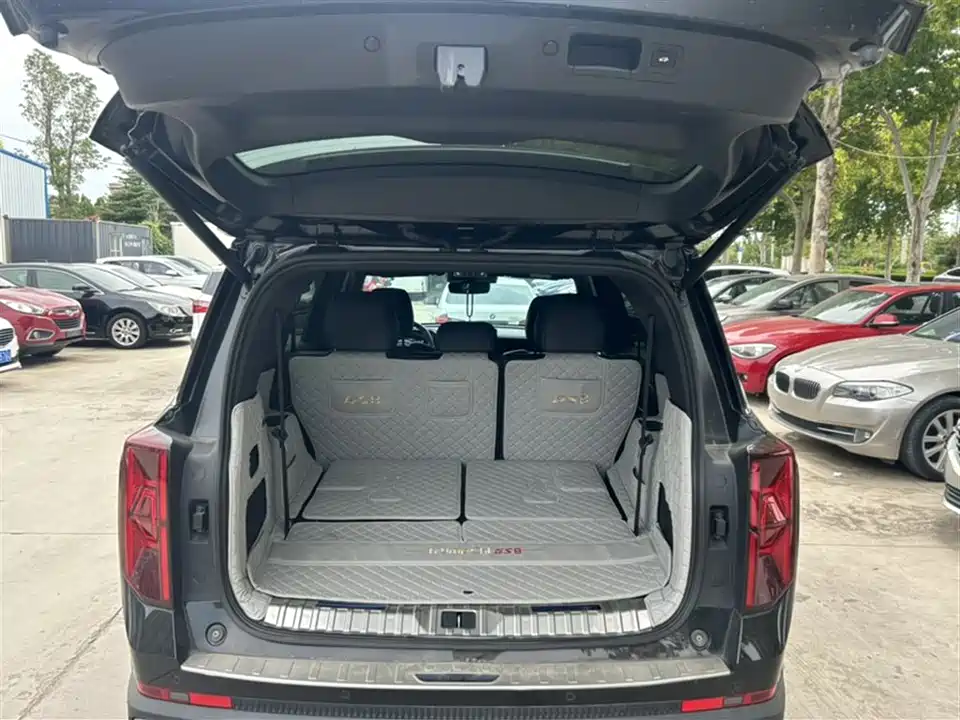 Trumpchi Trumpchi GS8