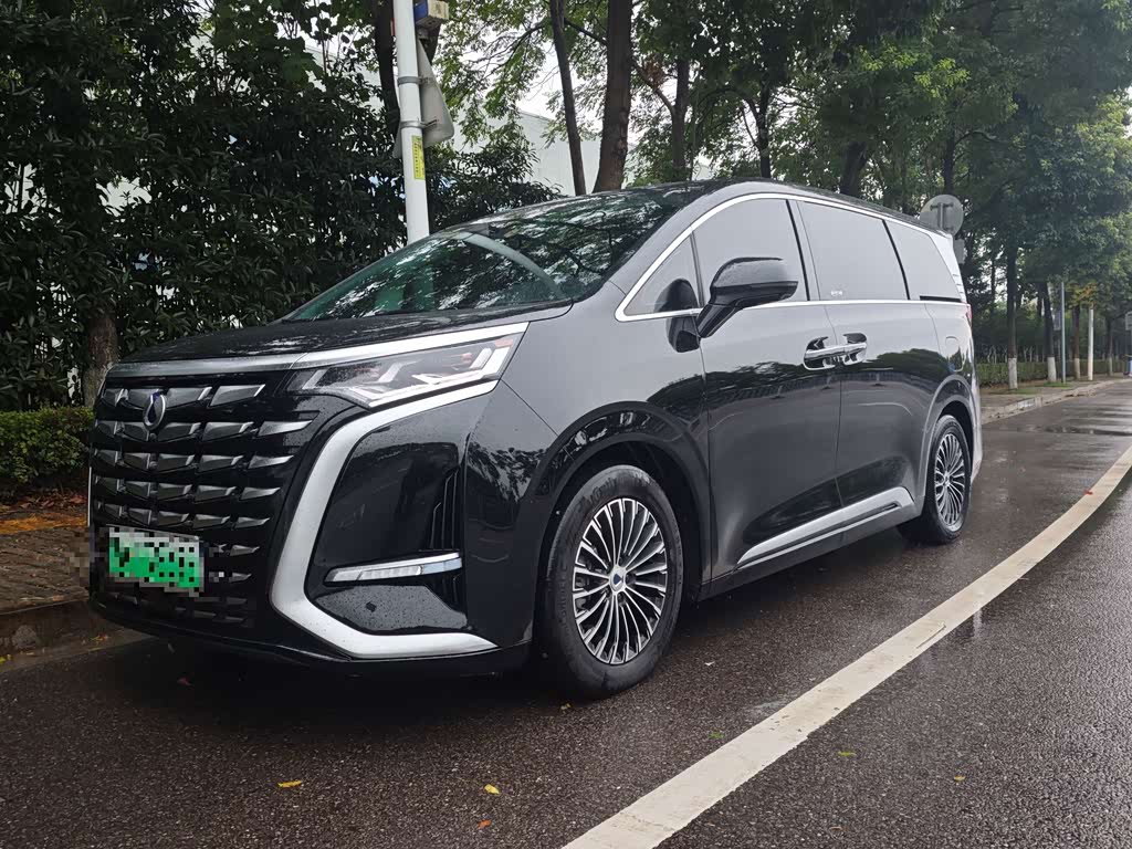 Denza D9
