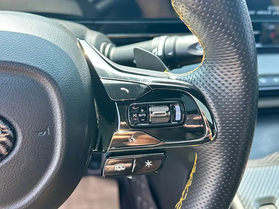 Trumpchi Shadow Leopard