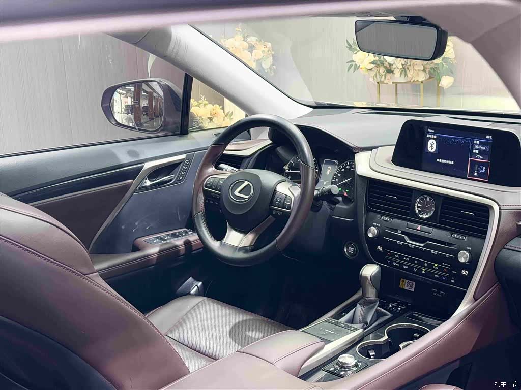 Lexus RX, 2022 8