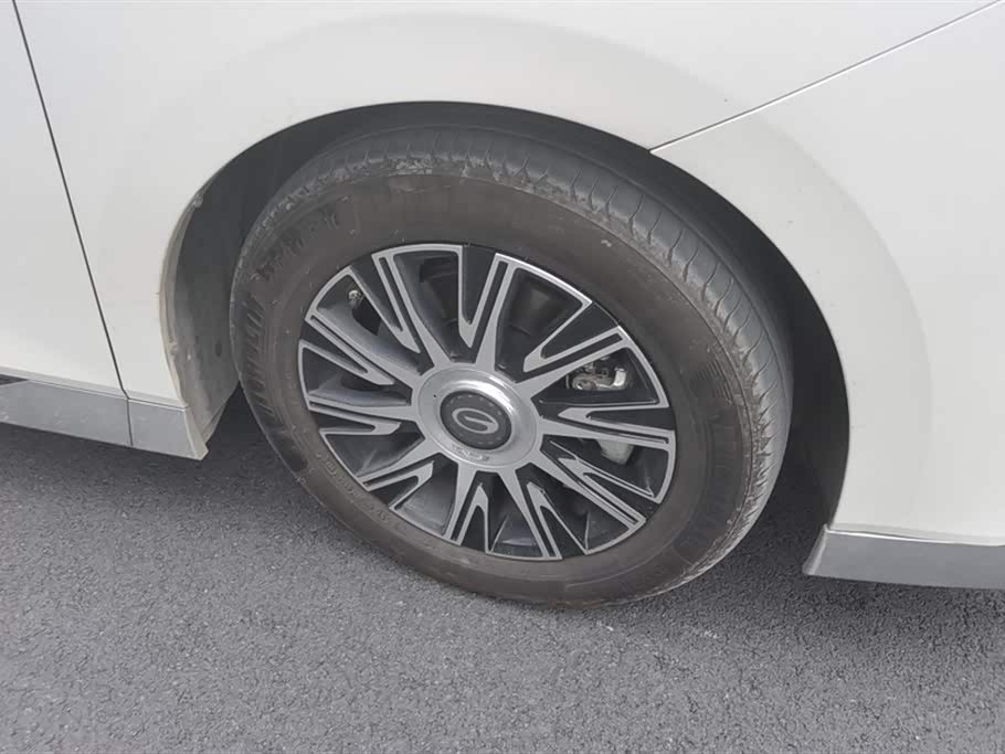 Trumpchi Trumpchi E9