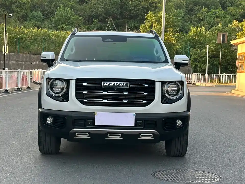 Haval Big dog