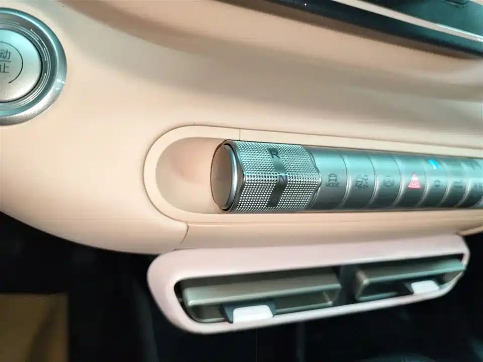 BYD Seagull