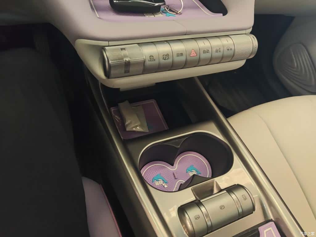 BYD Dolphin, 2022 14