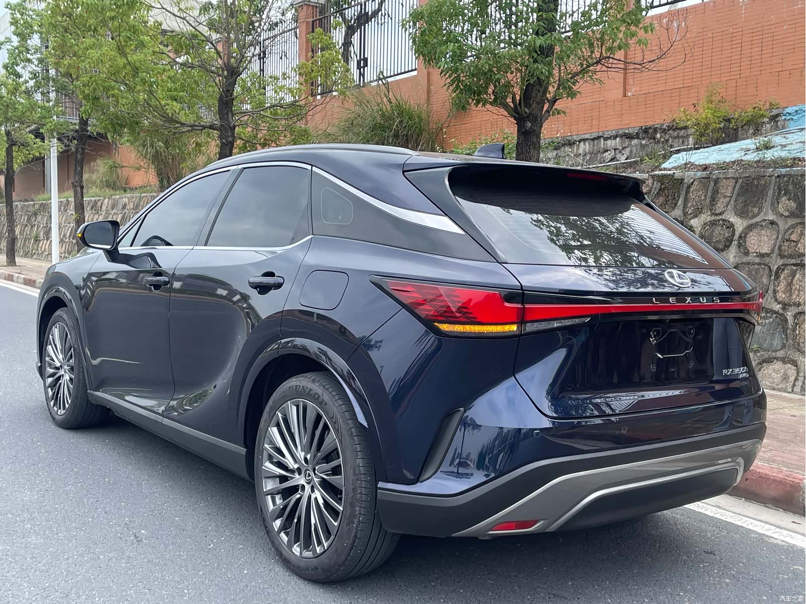 Lexus RX, 2024 9