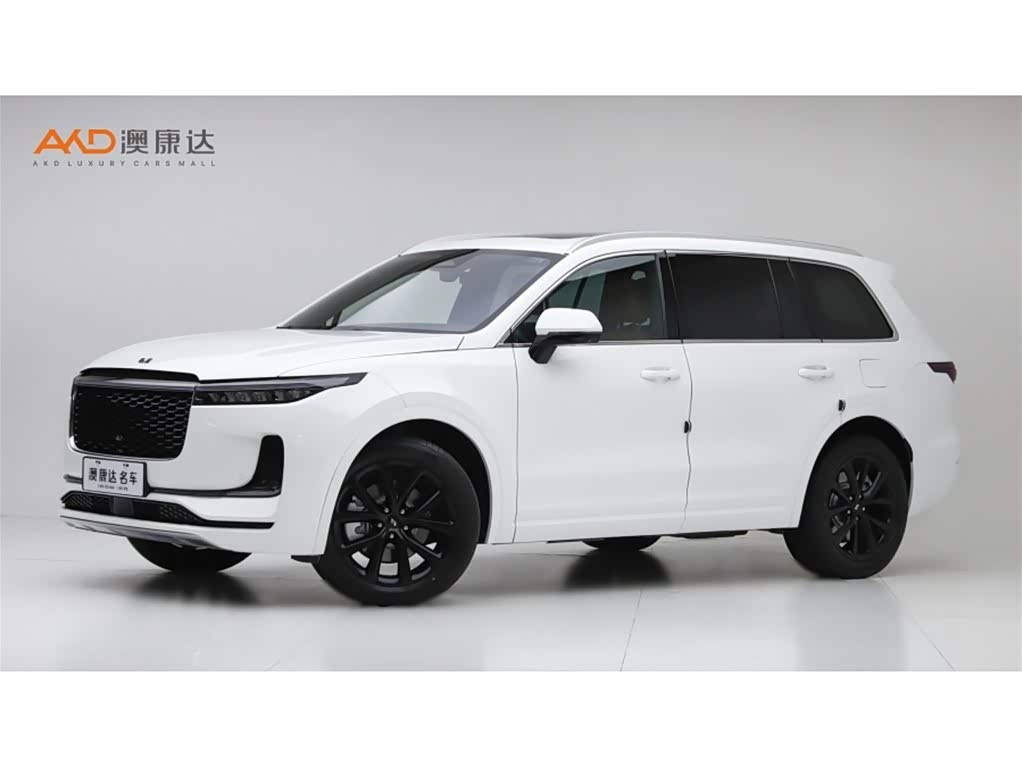 Li Auto ONE