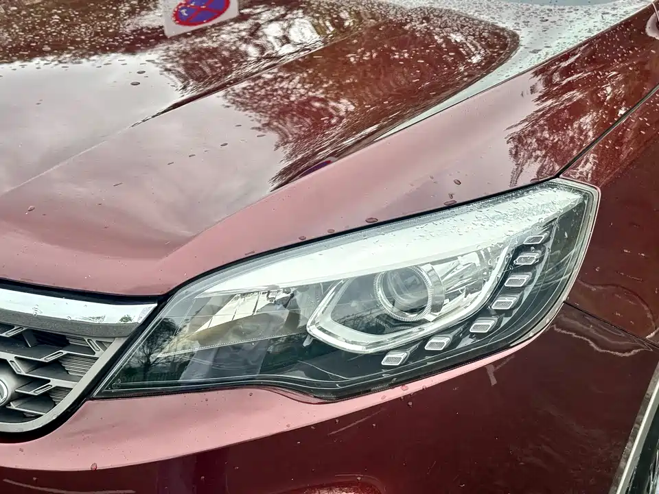 Leopaard Cheetah CS10