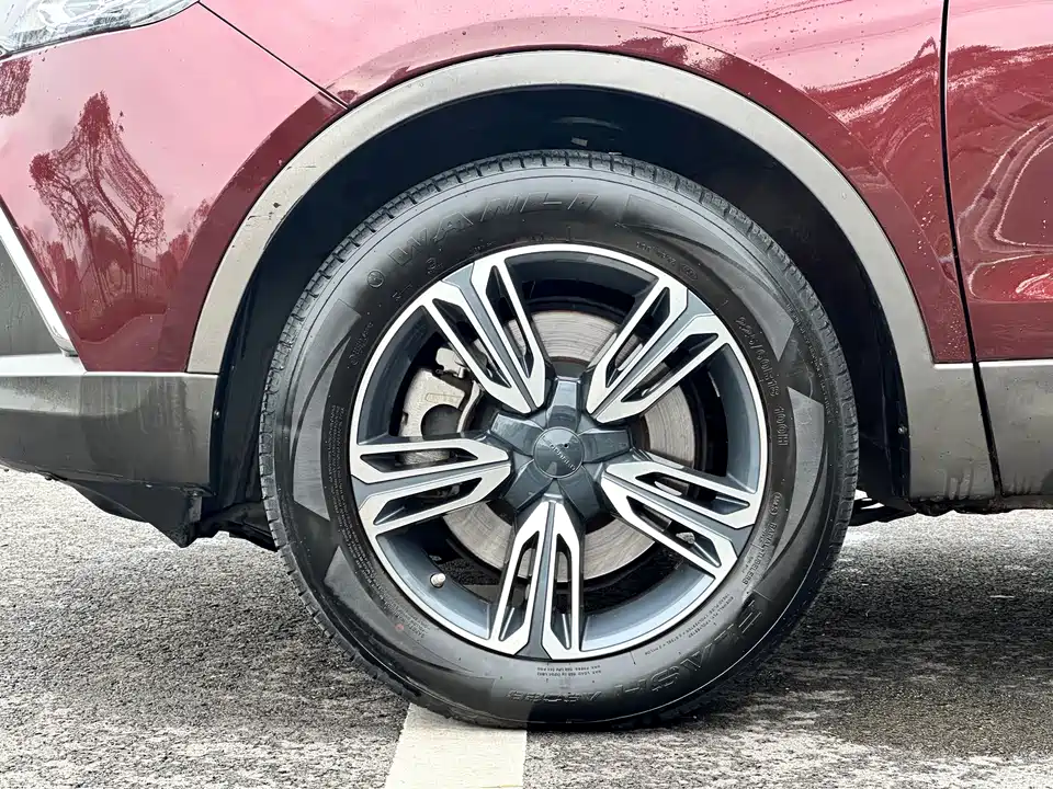 Leopaard Cheetah CS10