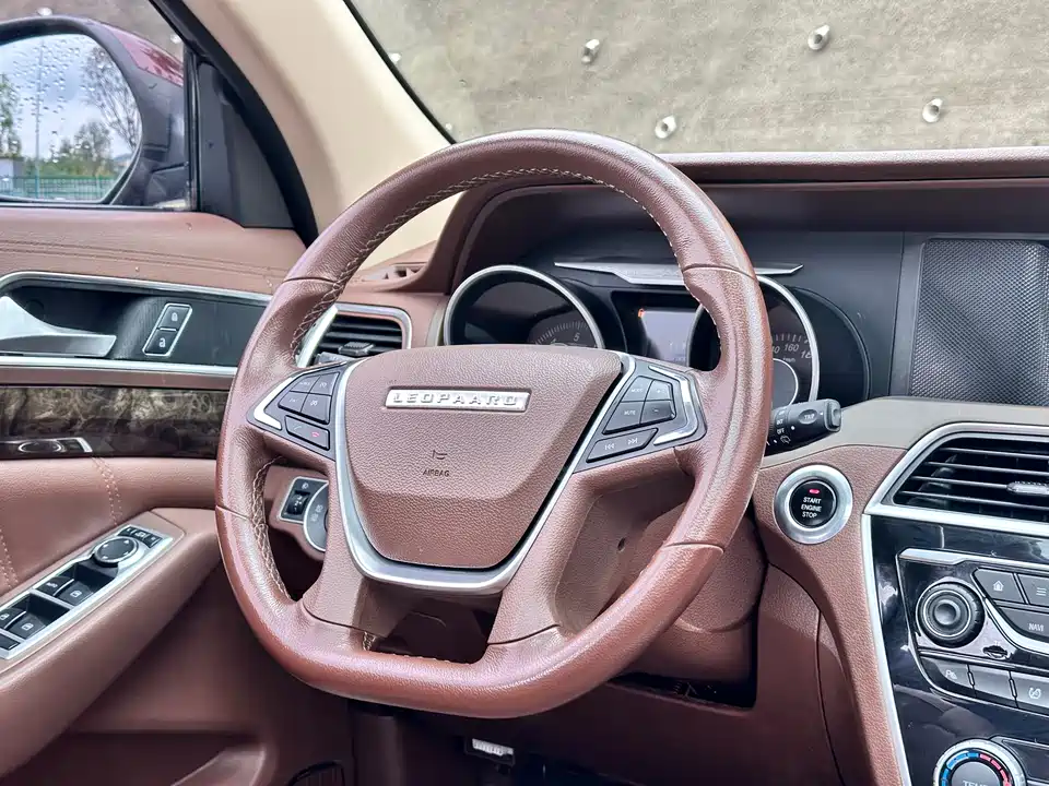 Leopaard Cheetah CS10