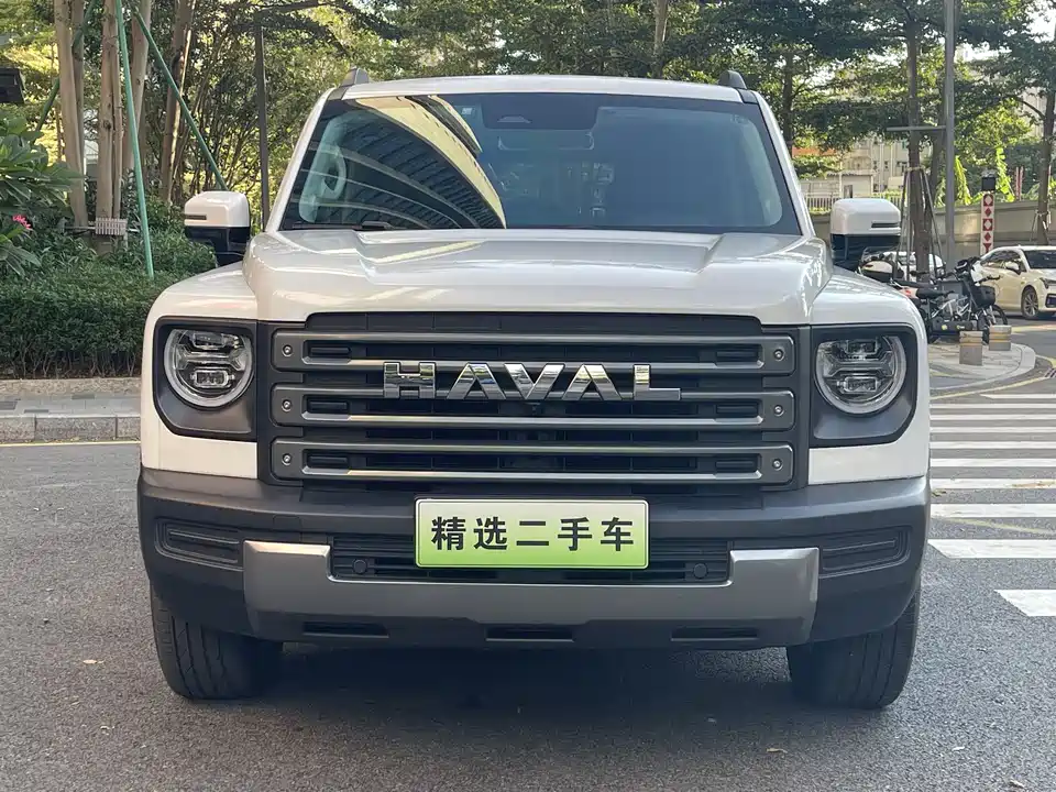 Haval Raptors