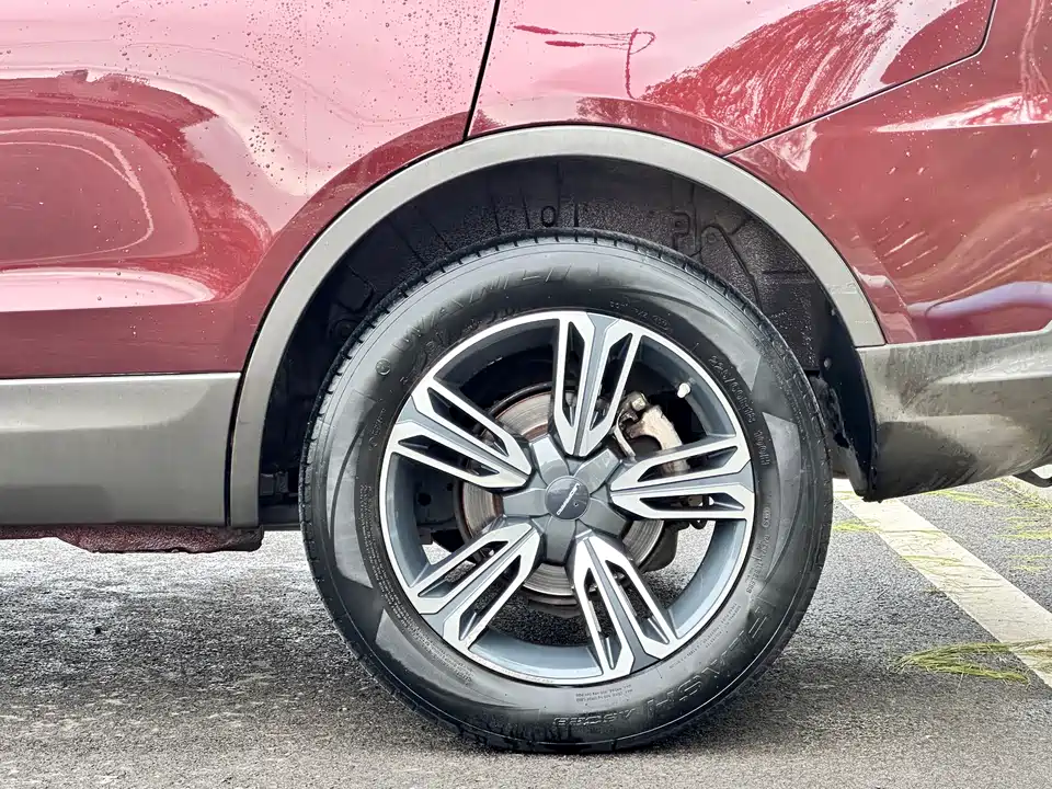 Leopaard Cheetah CS10