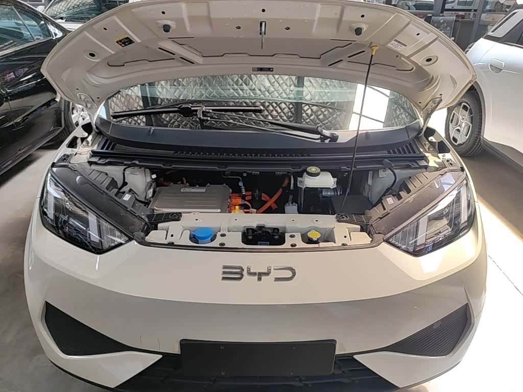 BYD Seagull, 2026 20
