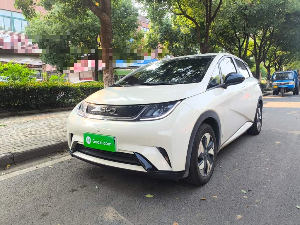 BYD Dolphin