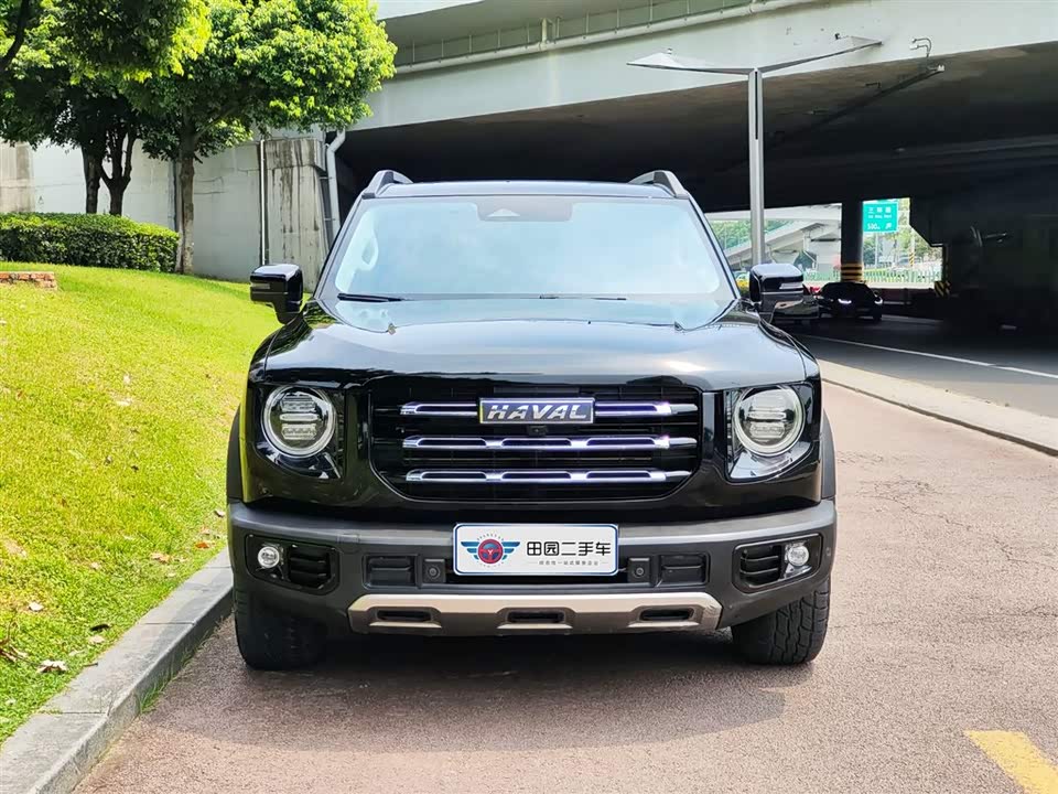 Haval Big dog