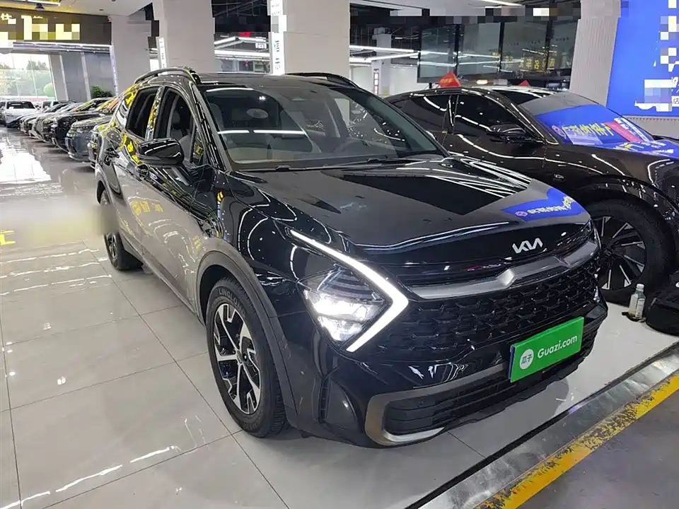 Kia Lion Platinum expands the world