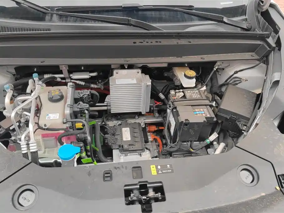 Toyota Platinum Wisdom 4X