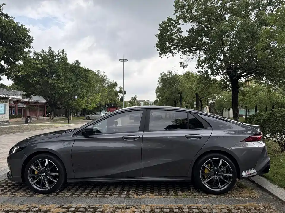 Trumpchi Shadow Leopard