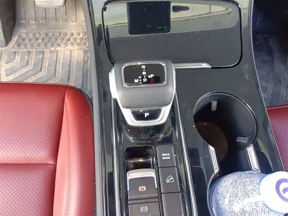 Forthing Popular T5 EVO