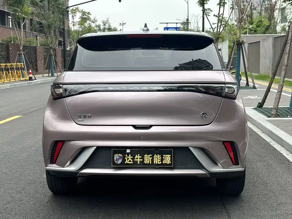 BYD dolphin
