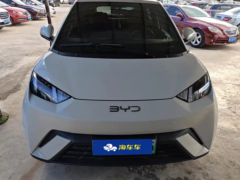 BYD Seagull