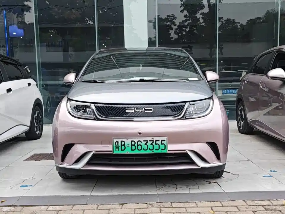 BYD dolphin