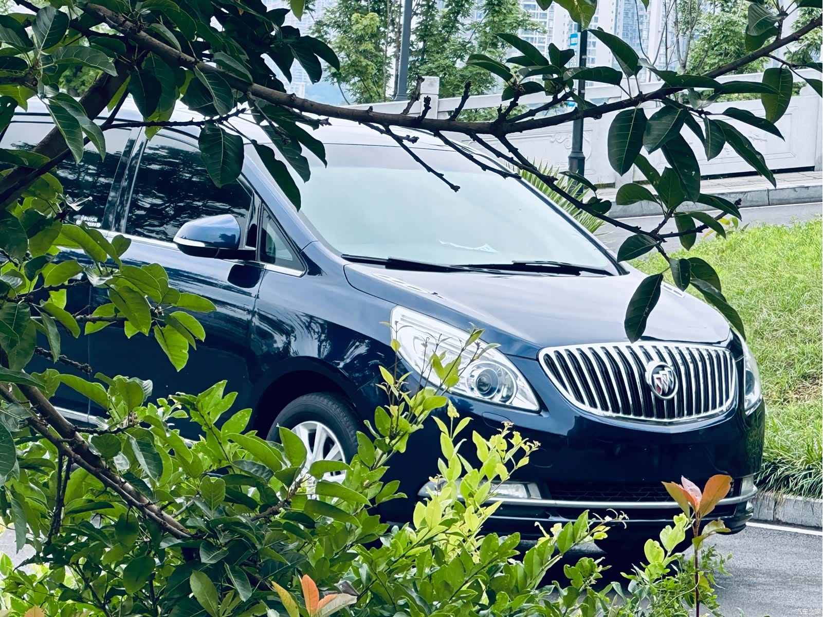 Buick GL8, 2013 4