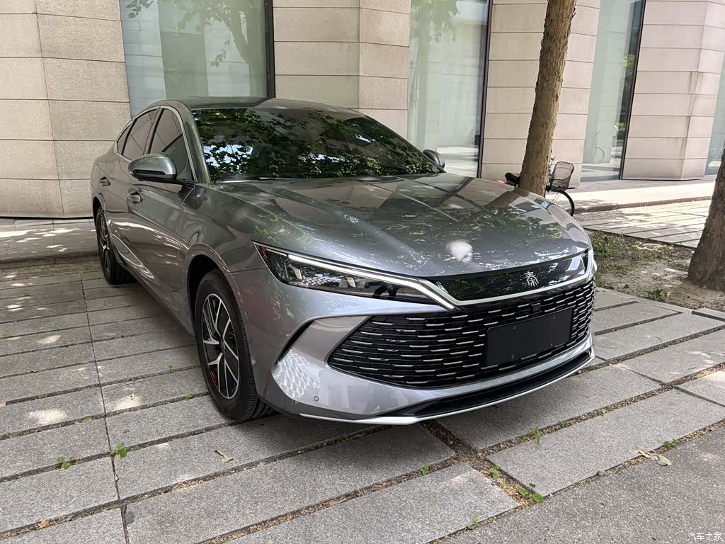 BYD Qin, 2025 все фото