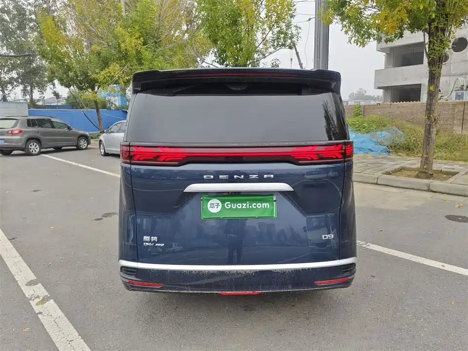 Denza D9